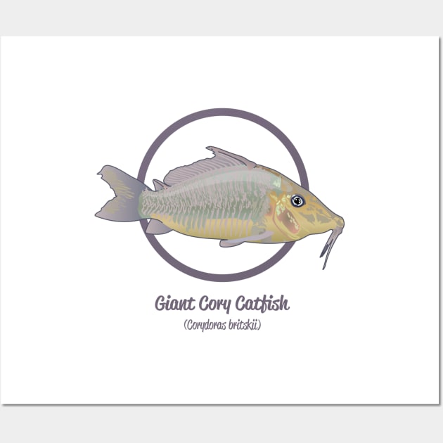 Giant Cory Catfish Wall Art by Reefhorse